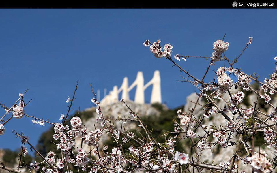Hotel Fotini มิทิคาส ภายนอก รูปภาพ